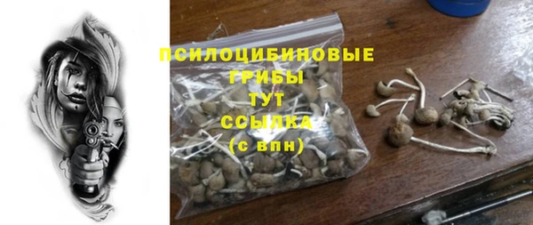 ПСИЛОЦИБИНОВЫЕ ГРИБЫ Алексеевка